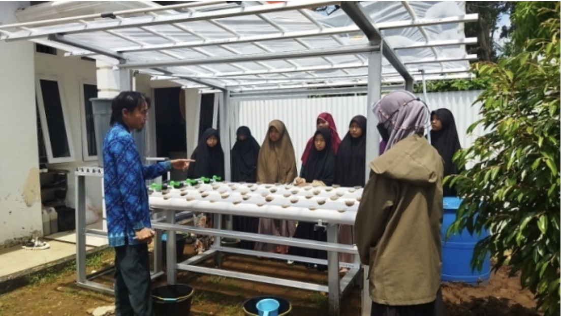 Green Sawi Hydroponic Training at Qur’an Rayhan House, Muara Bangkahulu District, Bengkulu City Green Sawi Hydroponic Training at Qur’an Rayhan House, Muara Bangkahulu District, Bengkulu City