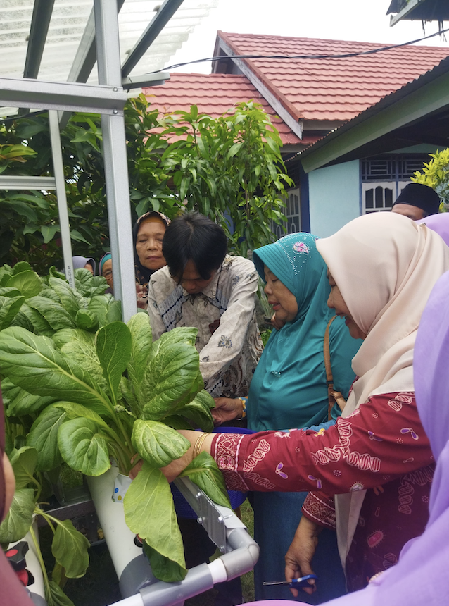 Green Mustard Hydroponics Training at the Salimah Secretariat, Rawa Makmur Ward, Bengkulu City Green Mustard Hydroponics Training at the Salimah Secretariat, Rawa Makmur Ward, Bengkulu City