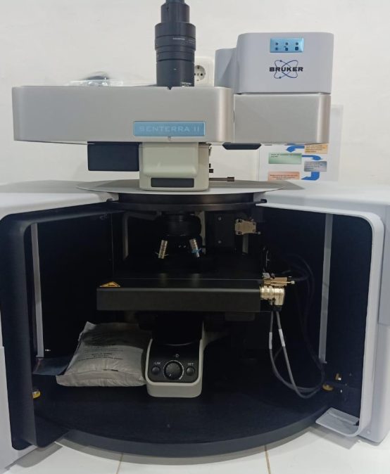 Raman Microscope Spectrometer Training at the Chemistry Laboratory, University of Bengkulu: Enhancing Lecturers’ and Laboratory Technicians’ Competence in Research