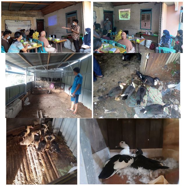Community Service Program: Incubator Egg Machine Application Training