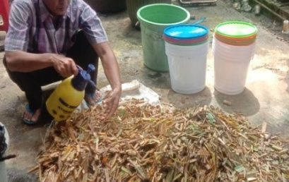 TECHNOLOGY FOR ANIMAL FEED FROM ODOT GRASS USING WET FERMENTATION METHOD FOR THE GANG RESAM CATTLE FARMER GROUP IN TALANG PAUH VILLAGE, PONDOK KELAPA, CENTRAL BENGKULU TECHNOLOGY FOR ANIMAL FEED FROM ODOT GRASS USING WET FERMENTATION METHOD FOR THE GANG RESAM CATTLE FARMER GROUP IN TALANG PAUH VILLAGE, PONDOK KELAPA, CENTRAL BENGKULU