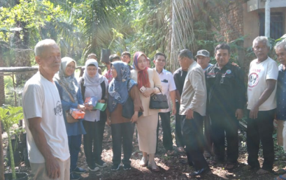 PORANG PLANT CULTIVATION IN LARGE POLYBAG EQUIPPED WITH PARANET GAUZE SHADE SYSTEM AND SPRINKLER SPRAYER MODEL ROTATE GARDEN MODEL AT SUKA MAJU FARMERS GROUP IN TALANG PAUH VILLAGE, PONDOK KELAPA SUB-DISTRICT, BENGKULU TENGAH PORANG PLANT CULTIVATION IN LARGE POLYBAG EQUIPPED WITH PARANET GAUZE SHADE SYSTEM AND SPRINKLER SPRAYER MODEL ROTATE GARDEN MODEL AT SUKA MAJU FARMERS GROUP IN TALANG PAUH VILLAGE, PONDOK KELAPA SUB-DISTRICT, BENGKULU TENGAH