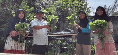 USING COCOPEAT AND SAND TO PLANT PAKCOY MUSTARD GREENS USING WOODEN BOX PLANTING MEDIA IN NARROW LAND EQUIPPED WITH AUTOMATIC SPRINKLE SPRAYER MODEL WATERING FOR THE FAMILY WELFARE PROGRAM MELATI GROUP, TALANG PAUH KELAPA VILLAGE, CENTRAL BENGKULU USING COCOPEAT AND SAND TO PLANT PAKCOY MUSTARD GREENS USING WOODEN BOX PLANTING MEDIA IN NARROW LAND EQUIPPED WITH AUTOMATIC SPRINKLE SPRAYER MODEL WATERING FOR THE FAMILY WELFARE PROGRAM MELATI GROUP, TALANG PAUH KELAPA VILLAGE, CENTRAL BENGKULU